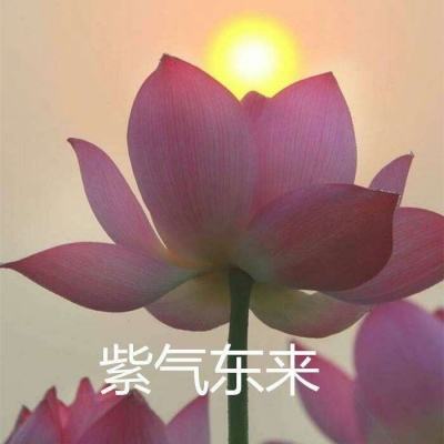 灌篮高手果盘版下载