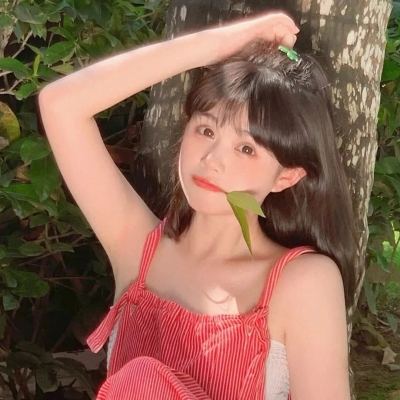 密教模拟器安卓中文破解版下载